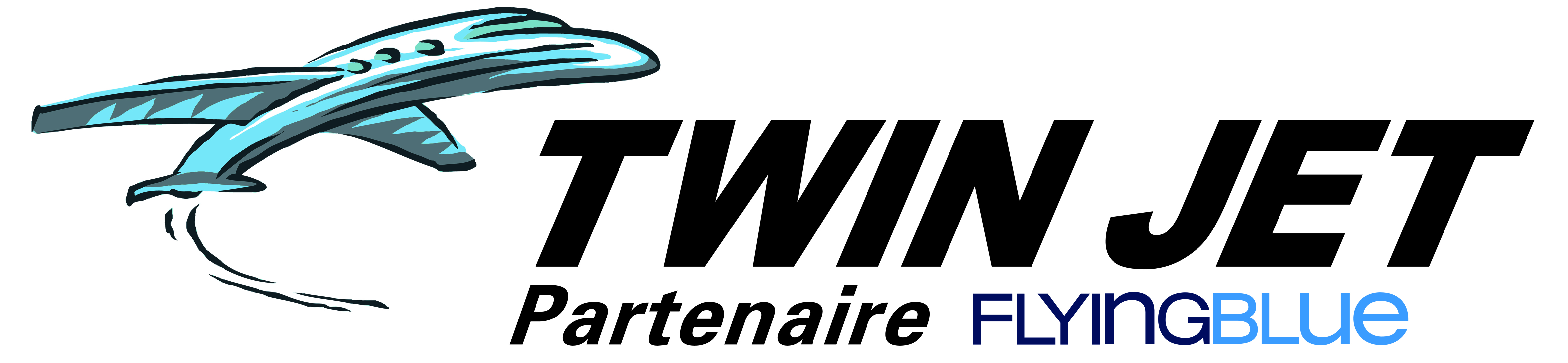 Twin Jet logo