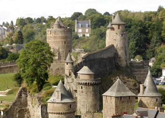 Fougère