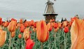Amsterdam - Rennes en vol direct