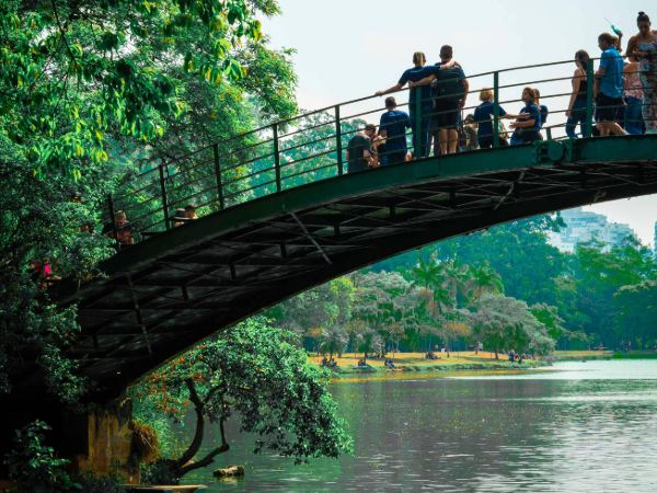 Ibirapuera-Sao-Paulo-Brésil-vol-Rennes-Danilo-Alvesd