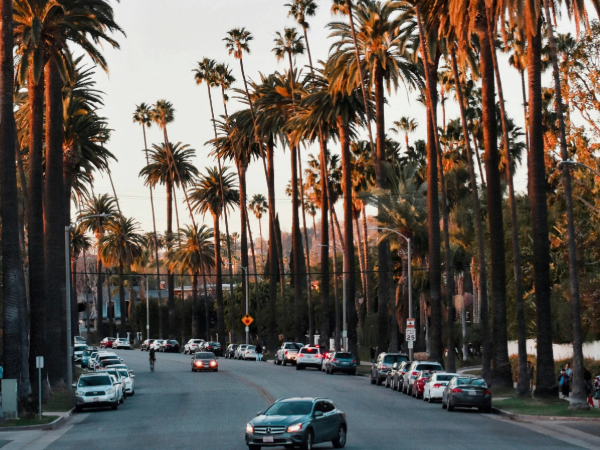 beverly-hills-los-angeles-etats-unis-vol-rennes-nick-savari