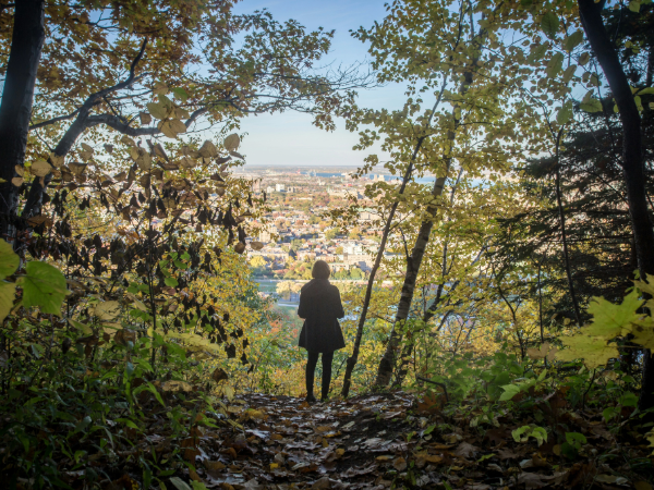 mont-royal-montreal-canada-vol-rennes-jp-valery