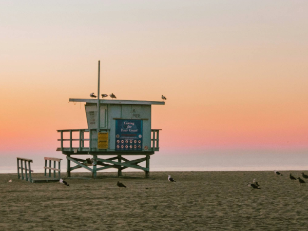 venice-beach-los-angeles-etats-unis-vol-rennes-kevin-kristhian