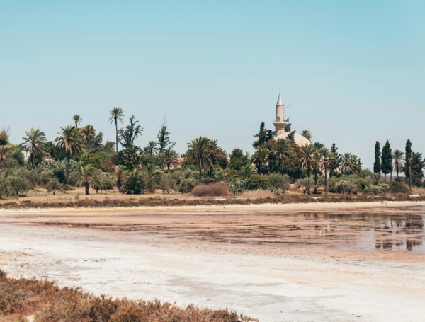 larnaca-chypre-vol-correspondance-rennes-aeroport-lac-sel-hert-niks