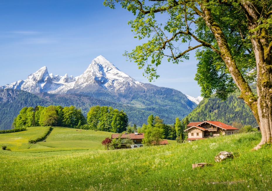 Prairie verdoyante avec vue sur la montagne Watzmann